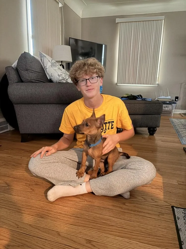 Frankie thumbnail 2
