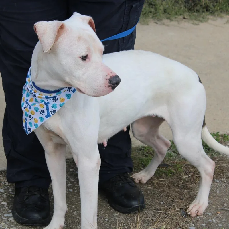 Raggedy Ann thumbnail 3