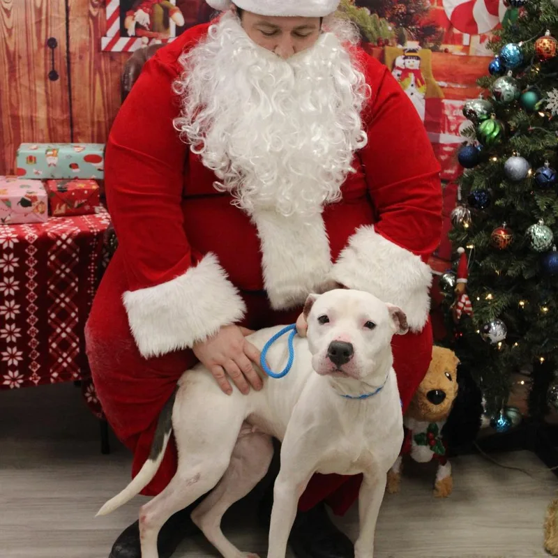 Raggedy Ann thumbnail 4