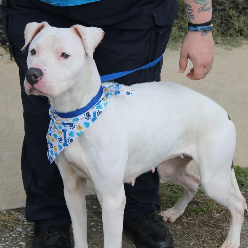 Raggedy Ann thumbnail 5