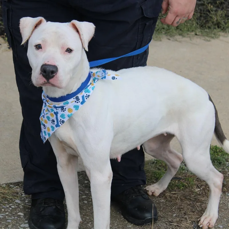 Raggedy Ann thumbnail 6