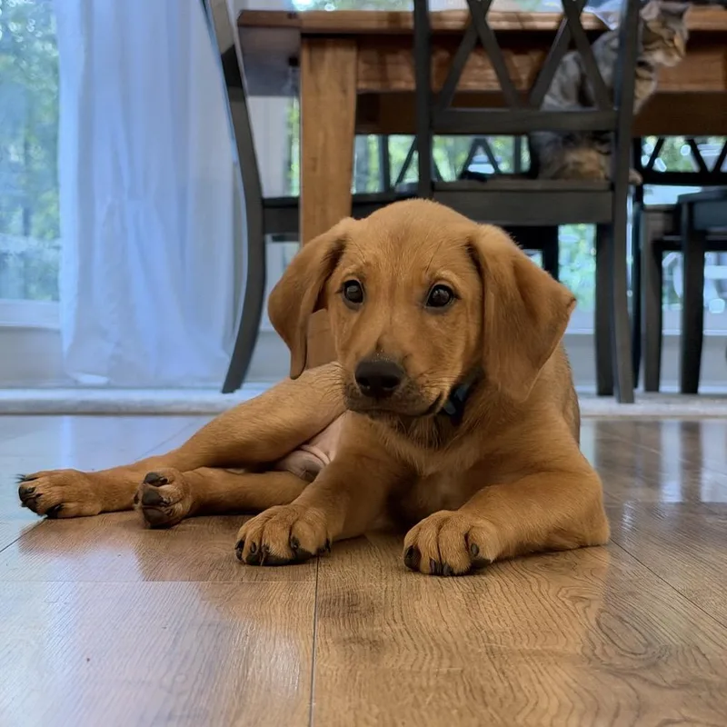 ALPHARETTA  Mack thumbnail 5