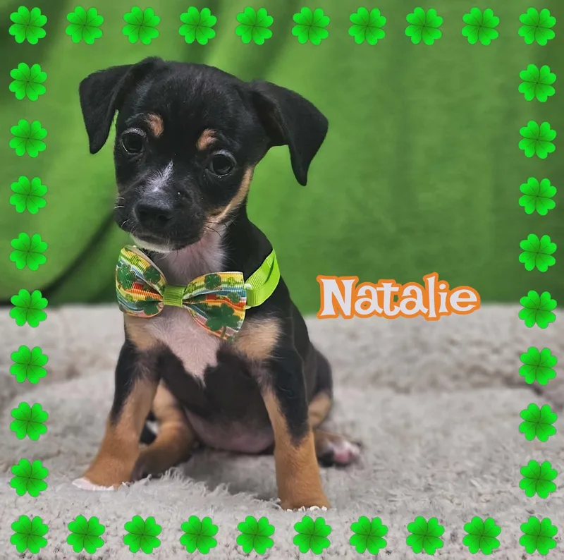 Natalie thumbnail 4