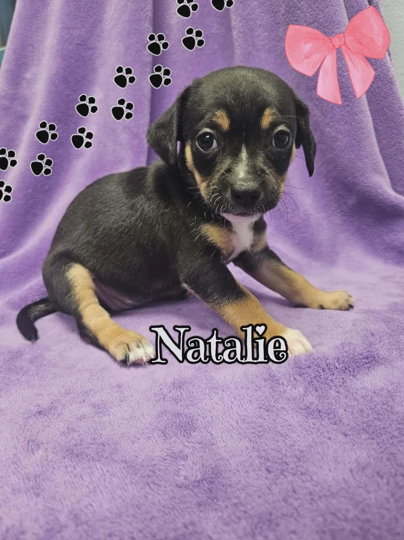Natalie thumbnail 5