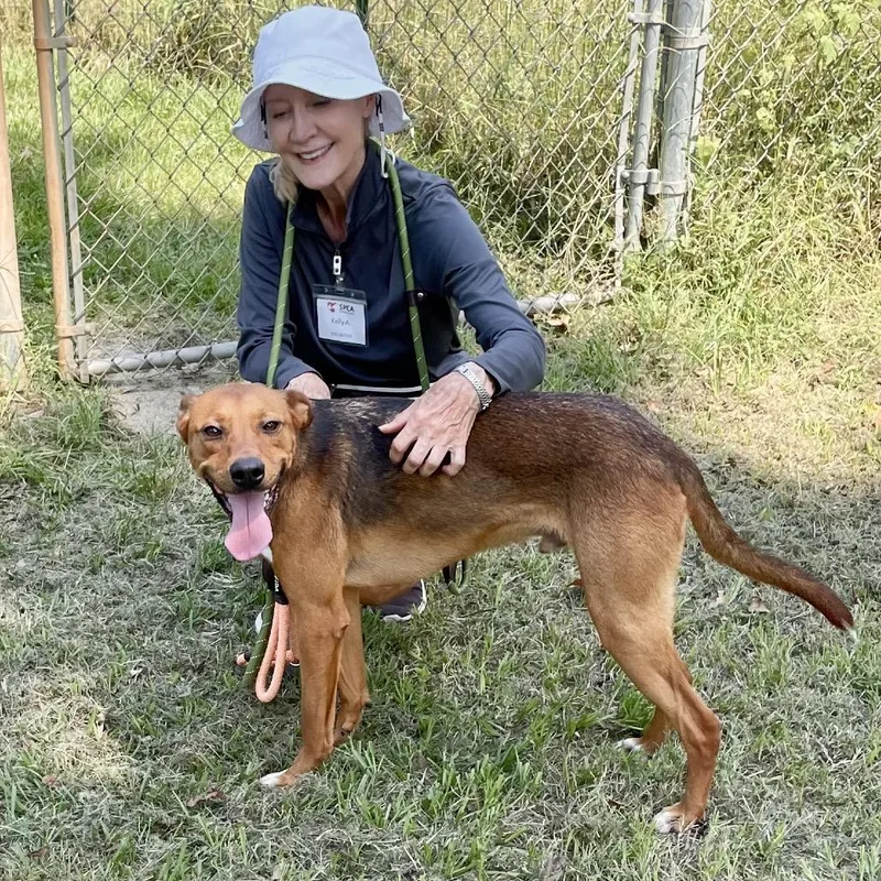 Mutt Damon thumbnail 2