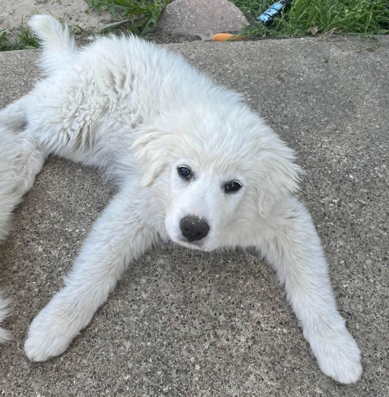 Sally Dfw thumbnail 2