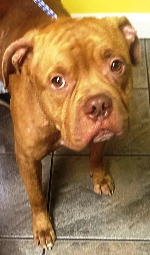 Drake  Very Handsome