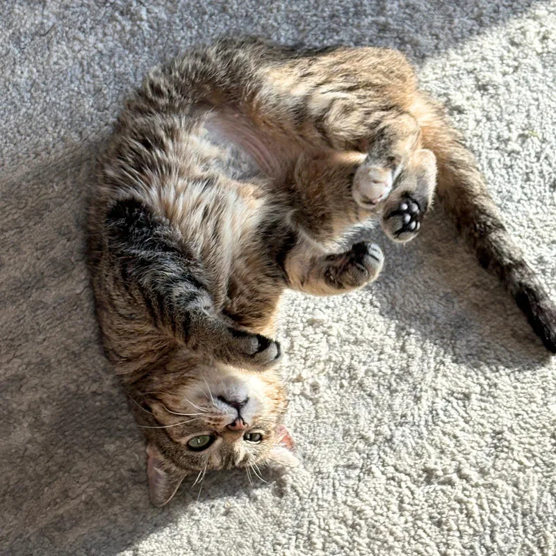 Bertha Mae thumbnail 2