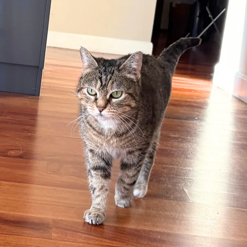 Bertha Mae thumbnail 3