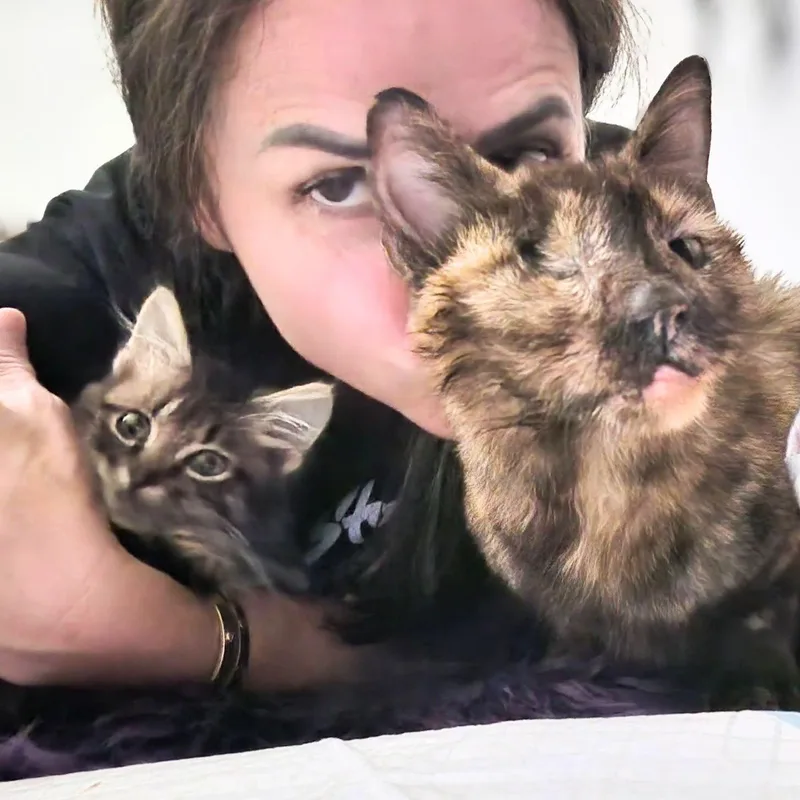 Shiloh thumbnail 4