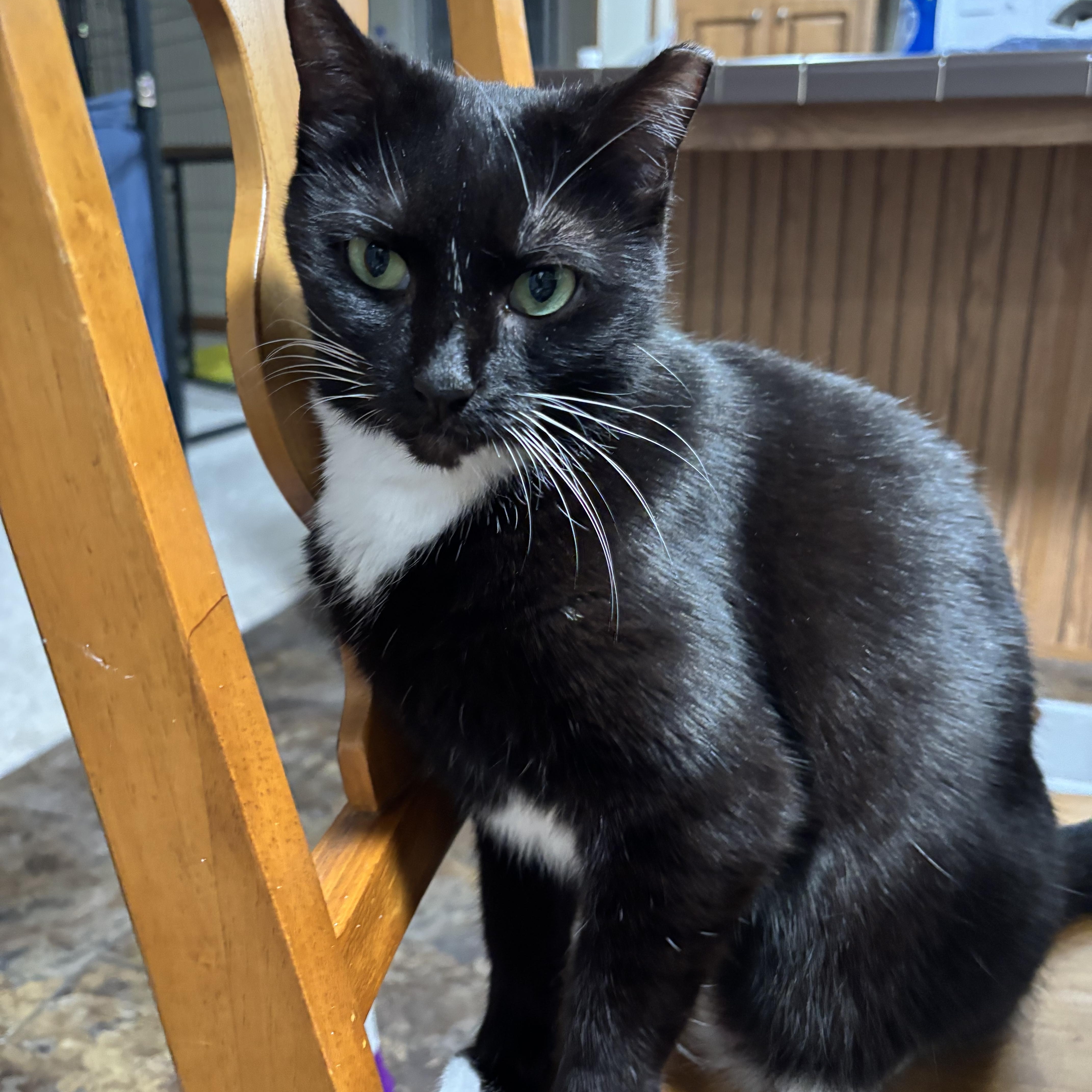 Dora The Explorer! thumbnail 2