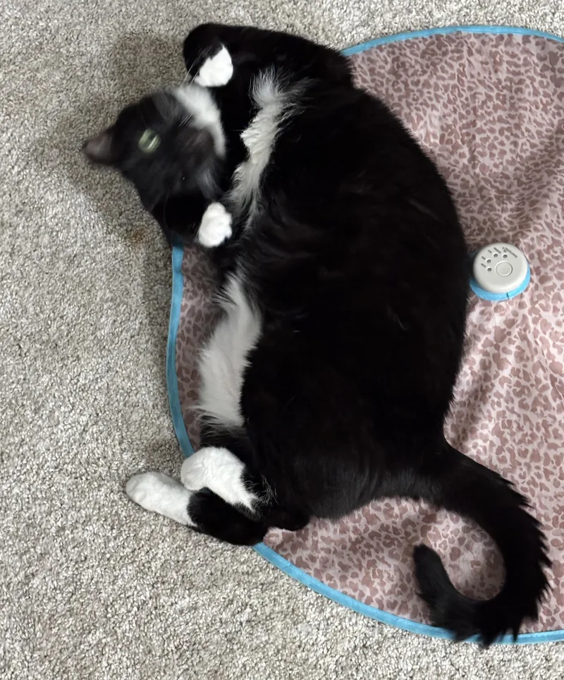 Dora The Explorer! thumbnail 3