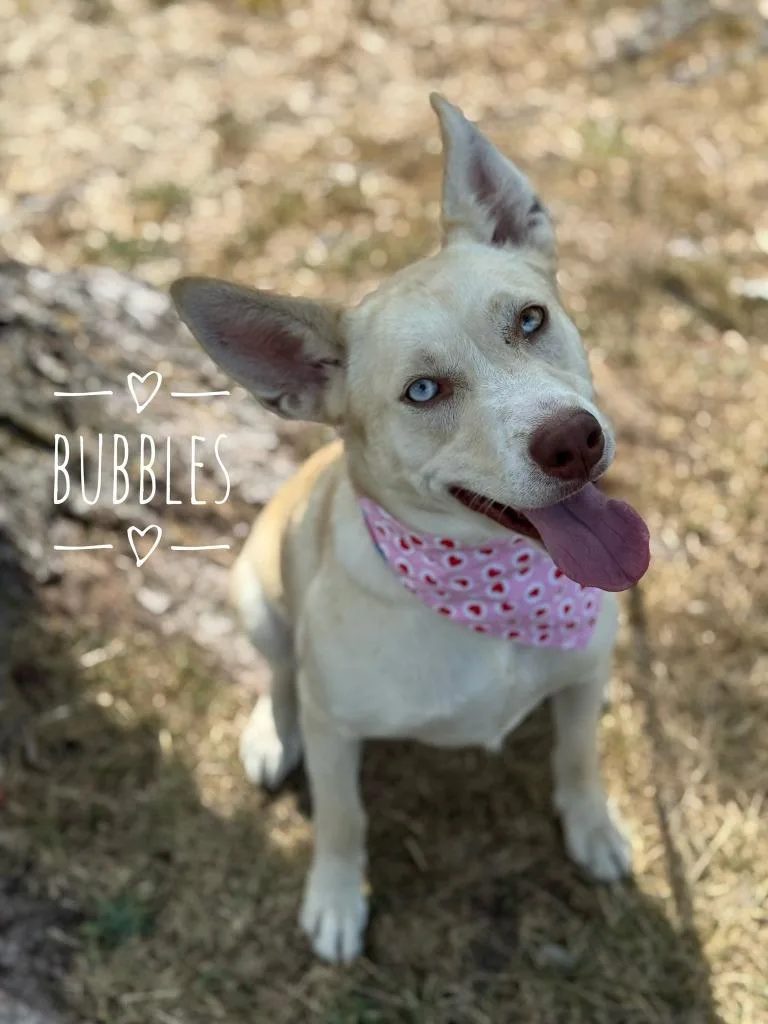 Bubbles thumbnail 2