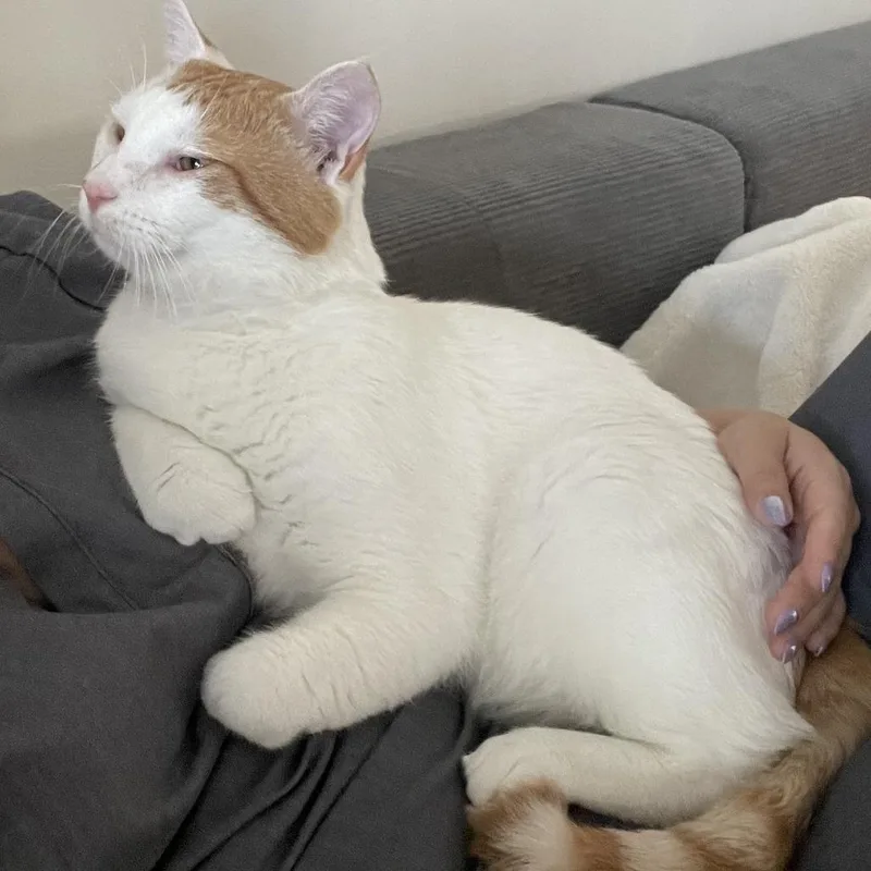 Kat thumbnail 6