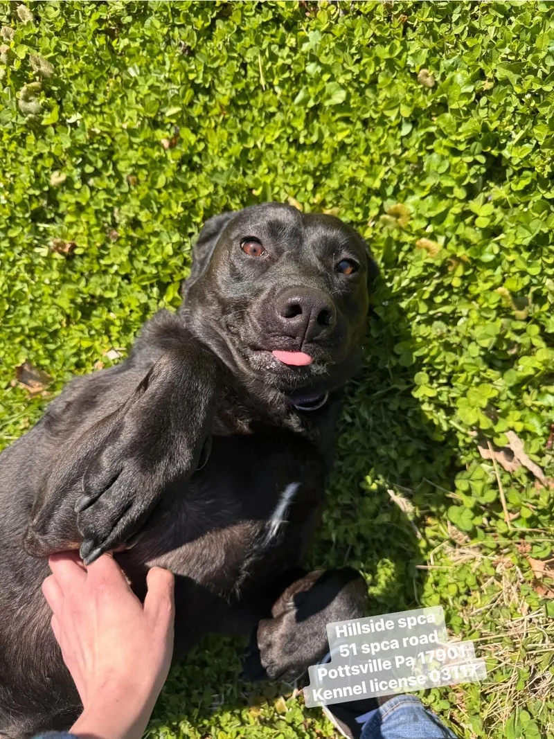 Parker & Princess thumbnail 2