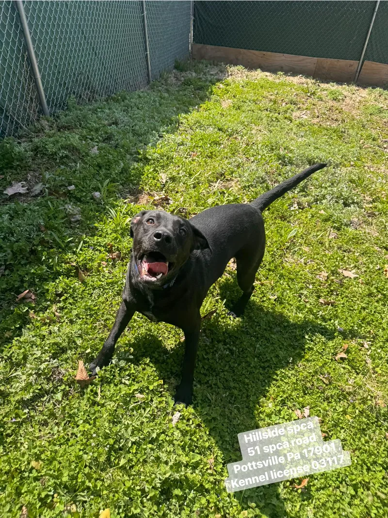 Parker & Princess thumbnail 3