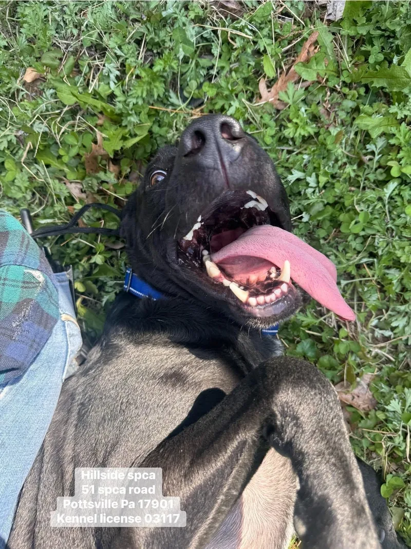 Parker & Princess thumbnail 4