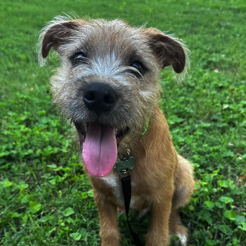 Russell