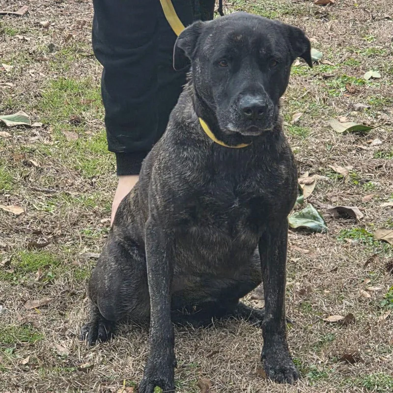 Pyper Lower Fee thumbnail 2