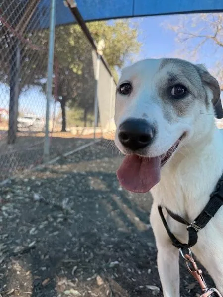 Coco Melon thumbnail 6