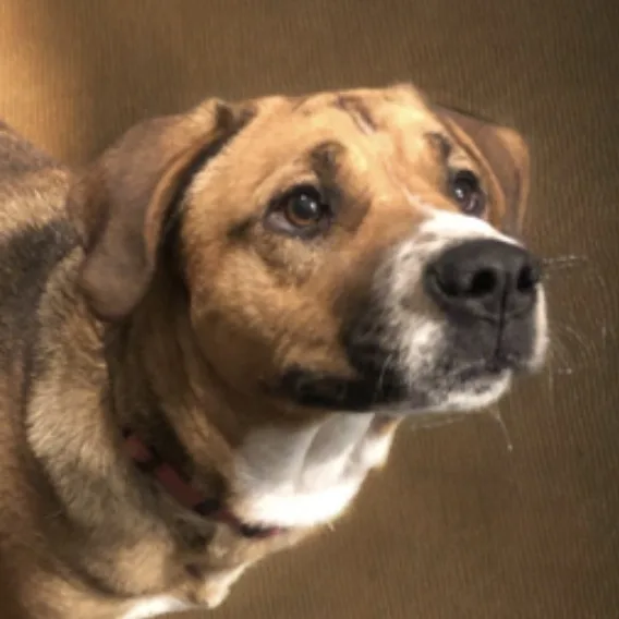 Gabby Grace thumbnail 3