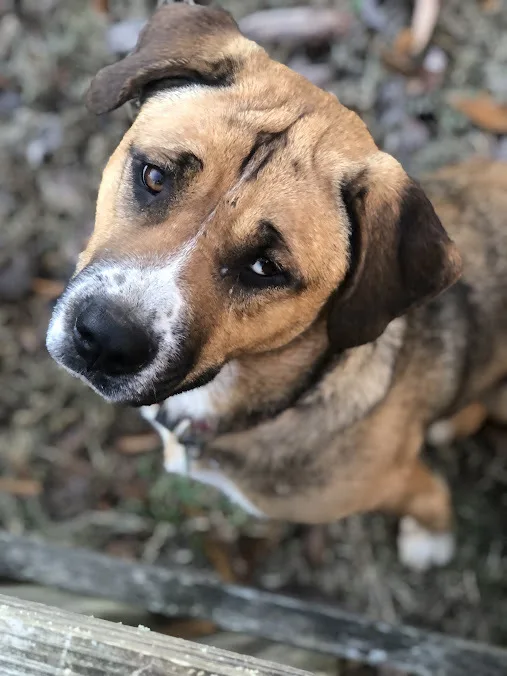 Gabby Grace thumbnail 4