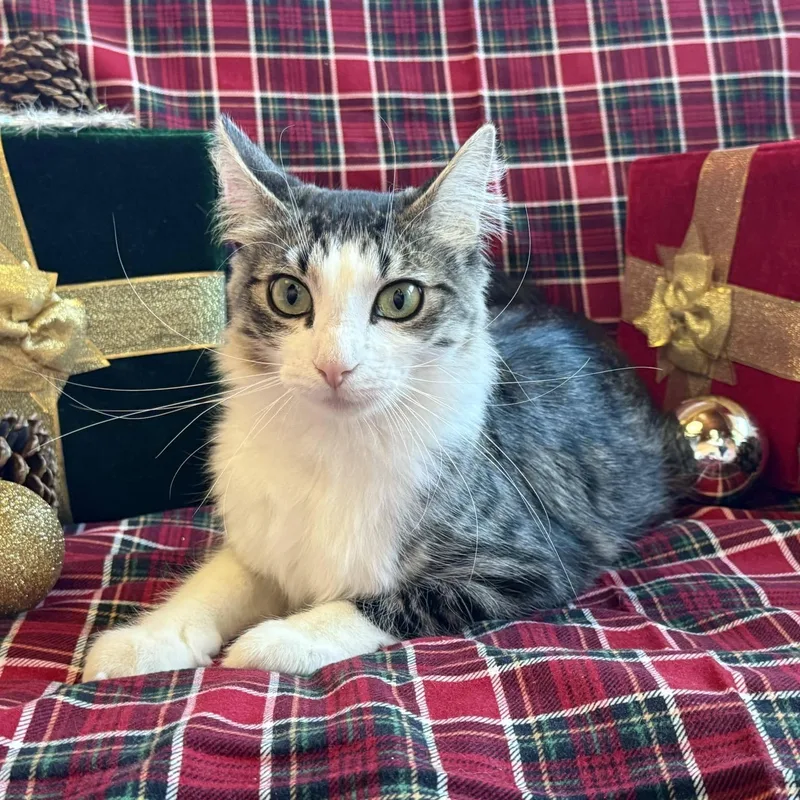 Maybelline thumbnail 3