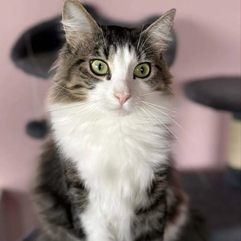 Maybelline thumbnail 5