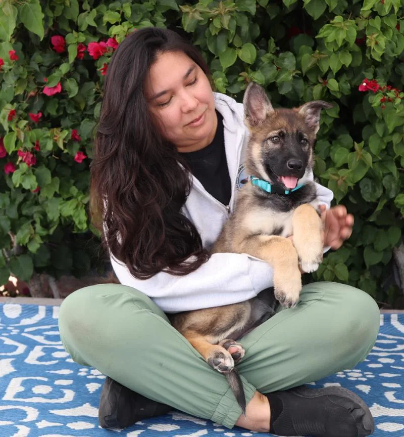 Harper Von Bassum thumbnail 4