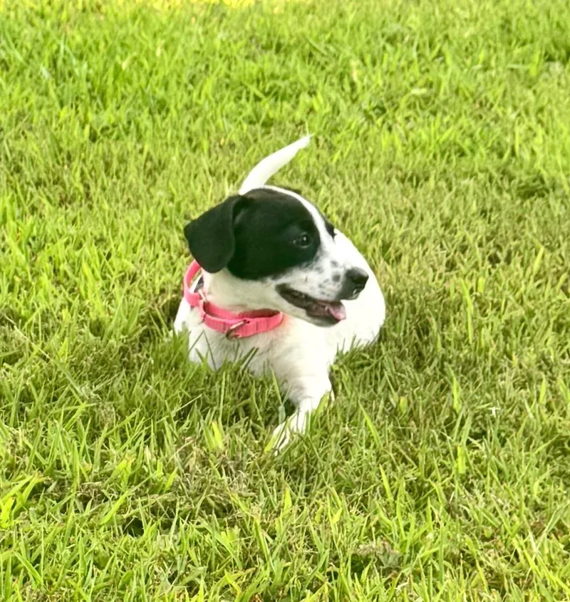 Tessa thumbnail 3