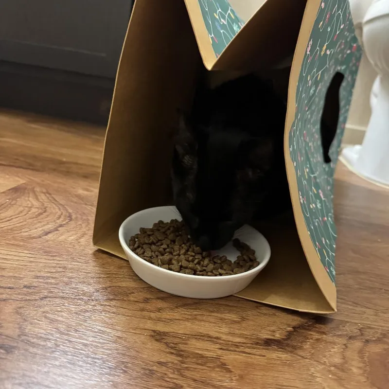 Jackie QuincyIJ thumbnail 2