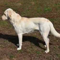 Aladdin thumbnail 2
