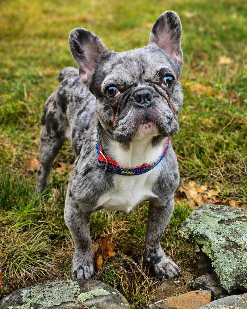 Marty Mcfly thumbnail 2