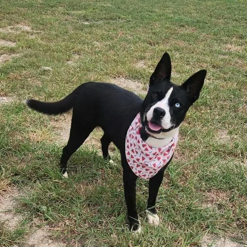 Delia Jum thumbnail 2