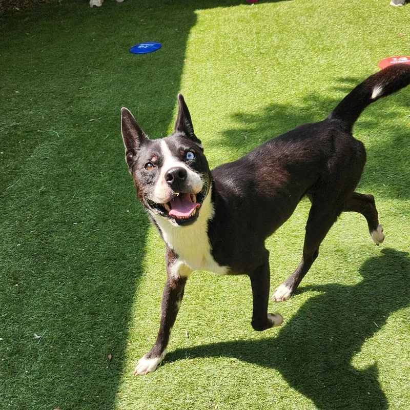 Delia Jum thumbnail 3