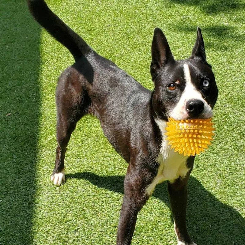 Delia Jum thumbnail 4