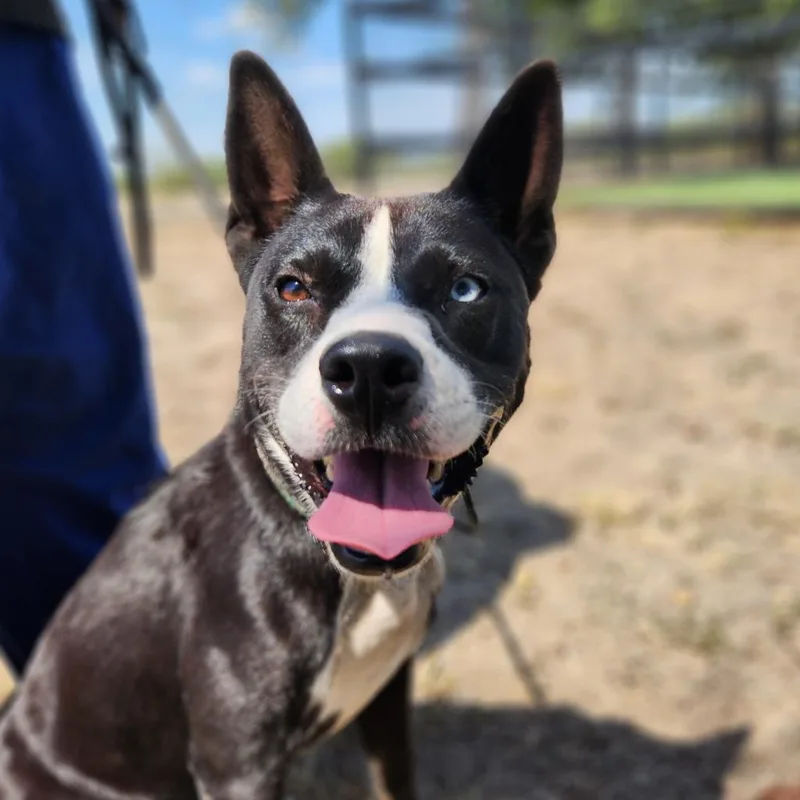 Delia Jum thumbnail 5