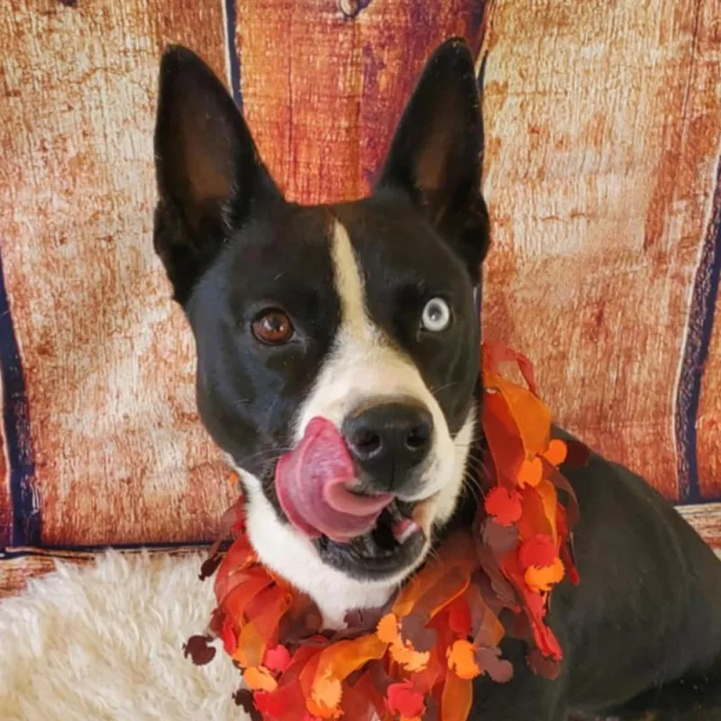 Delia Jum thumbnail 6