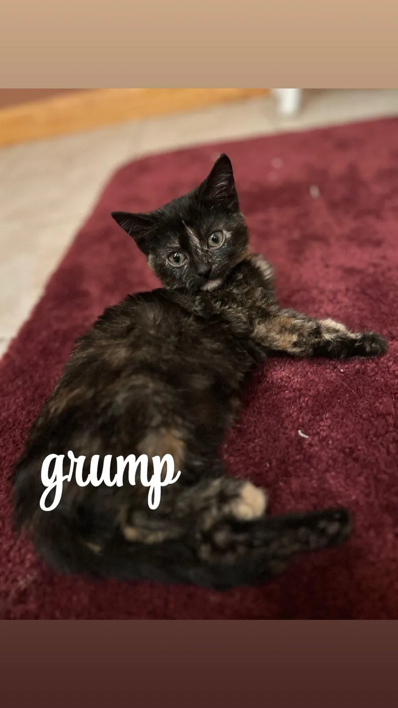 Grump