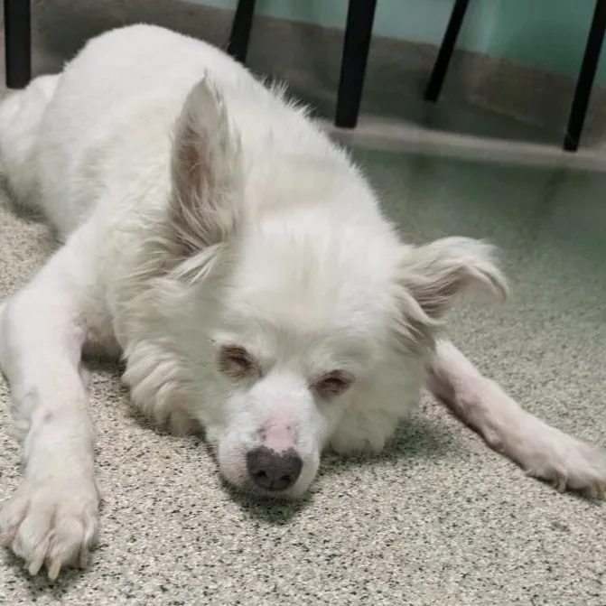 Rickycontact Rachel thumbnail 3