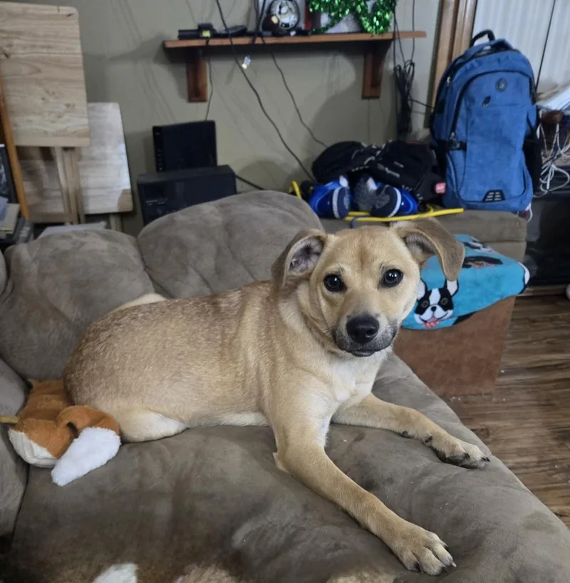 Rapunzel thumbnail 2