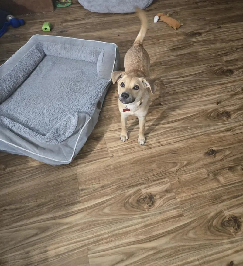 Rapunzel thumbnail 5