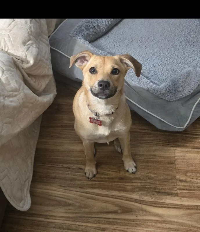 Rapunzel thumbnail 6