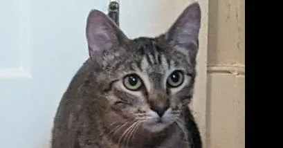 Momma Nala thumbnail 2