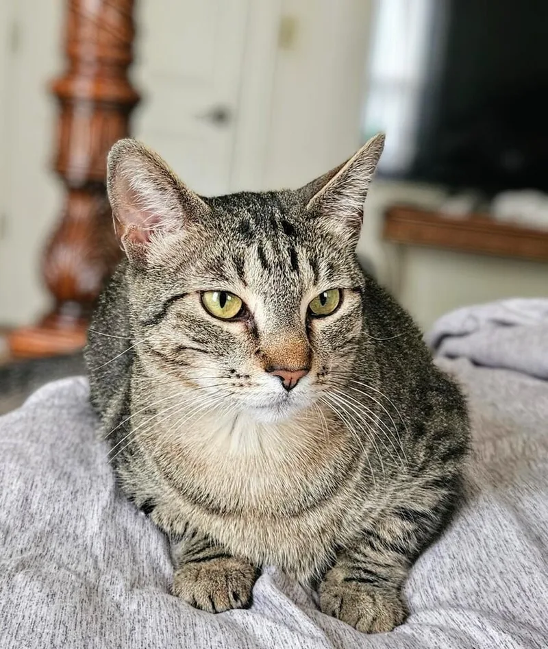 Momma Nala thumbnail 3