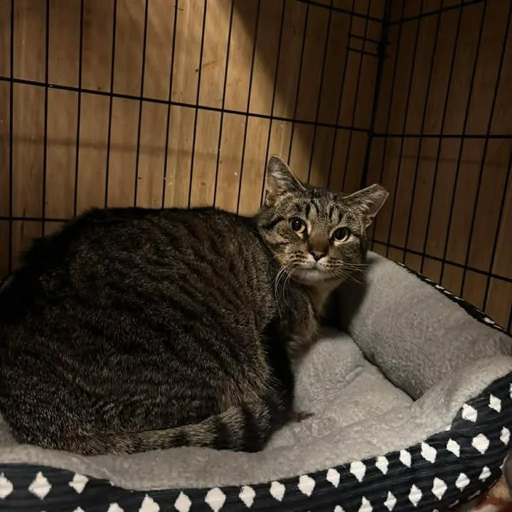 Dan Tucker thumbnail 2