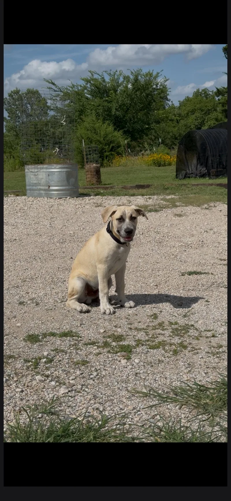 Cooper thumbnail 4