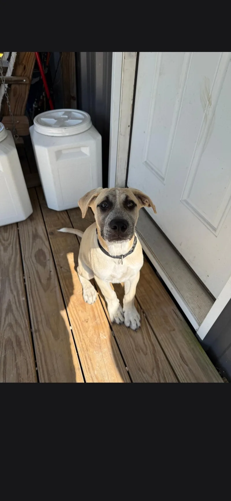 Cooper thumbnail 5