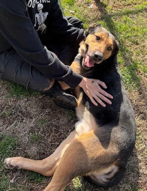 Blackjack thumbnail 3