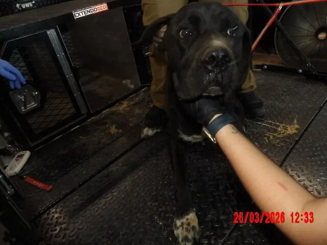 Biggie thumbnail 5